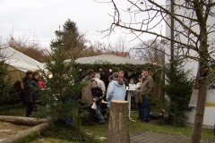 bild_3