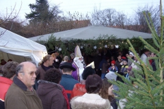 bild_5
